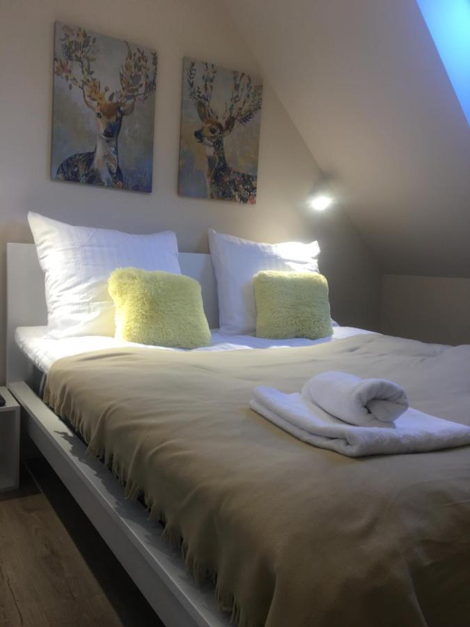 Апартаменты Apartament Silence Triventi Afekt Карпач Экстерьер фото